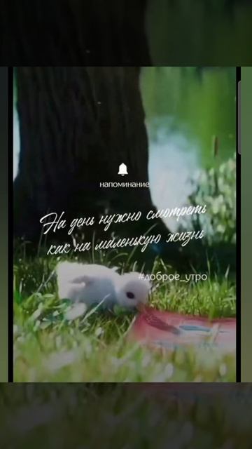 Доброе утро #доброеутро #благодарность