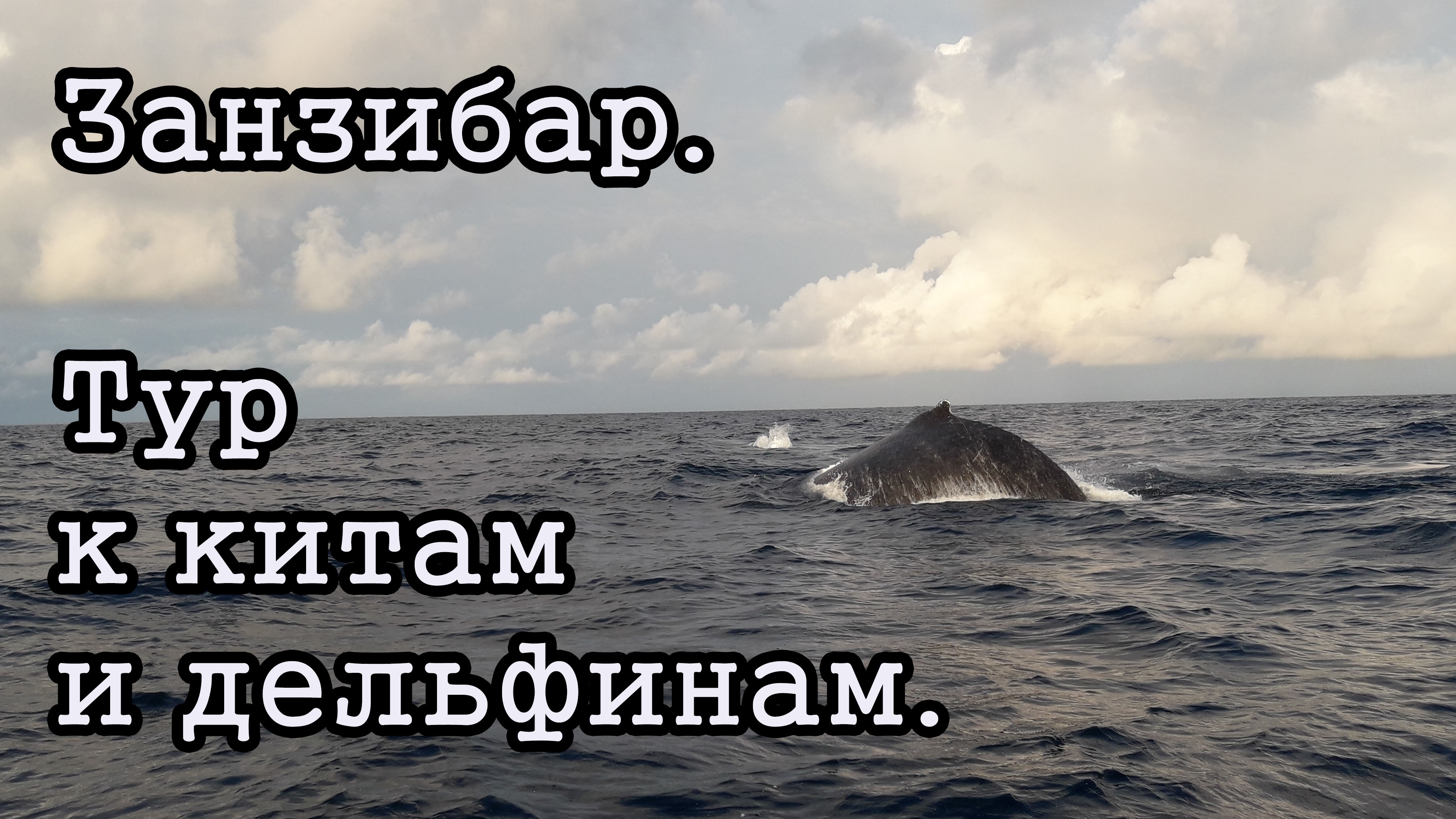 Занзибар. Тур к китам и дельфинам.
