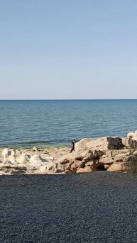 19 ИЮНЯ МАХАЧКАЛА МОРЕ #reels #махачкала