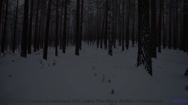 Это видео изменит ваше восприятие реальности - смотрите! - Identity-22 -- Ketsa -- Night Vision