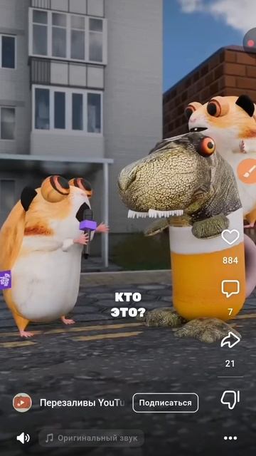 XRecorder_20250620_28.mp4