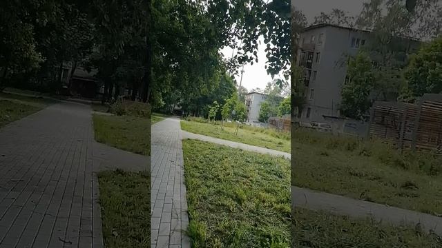 Ковыляю по-маленьку как утка,убегаю от псин, снимаю контент