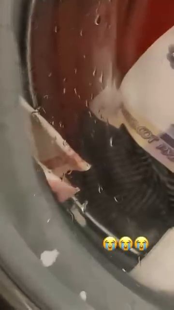 -1004304106214464922