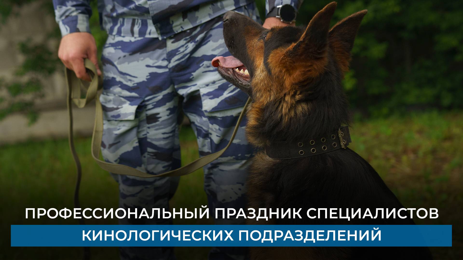 Профессиональный праздник специалистов кинологических подразделений