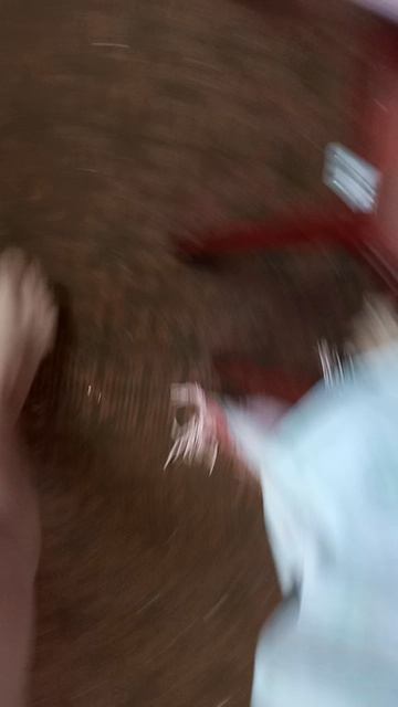 1000001638.mp4