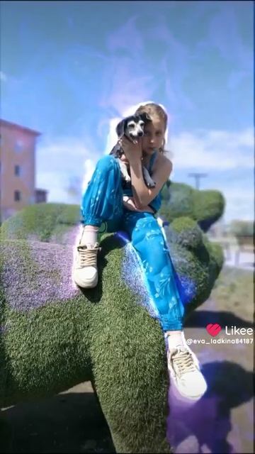 Лайк видео