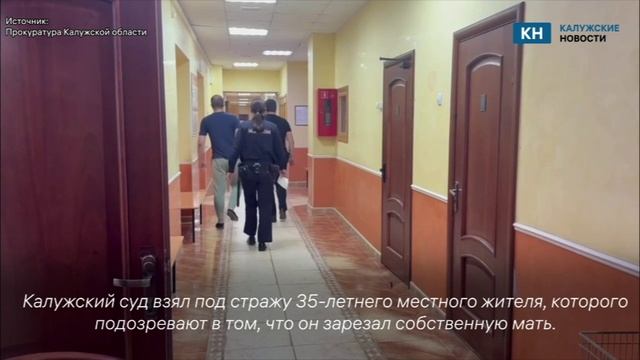 В Калуге взяли под стражу матереубийцу.