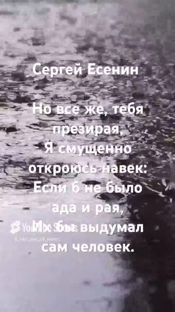 #стихи #поэтично #стихиожизни  #стих #поэзия