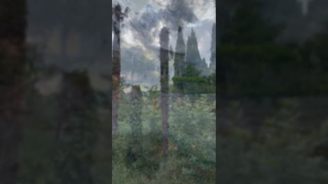 Дворец Мордвинова 🏰