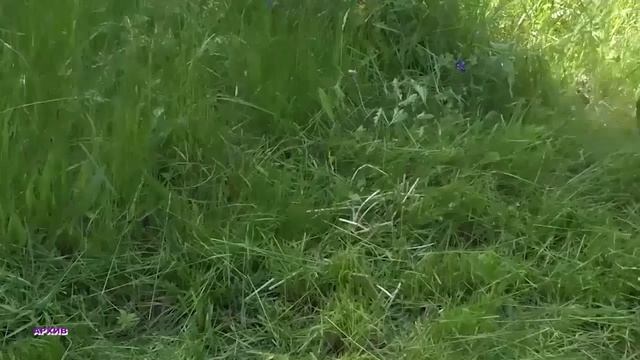 Вечерний выпуск новостей от 20.06.25