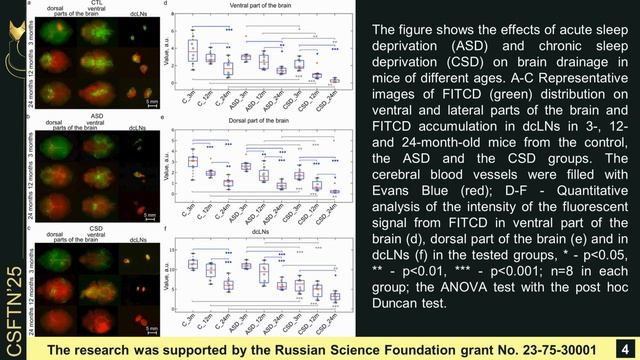 Lymphatic vessels as a target for photobiomdulation - Андрей Терсков