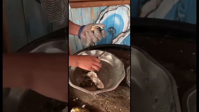 Крым. Устричная ферма на Донузлаве.
