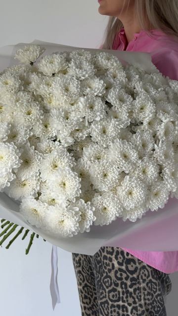 Моно букет из Кустовых Хризантем (25 шт.)