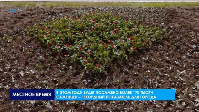 В Надыме началась масштабная высадка цветов!
