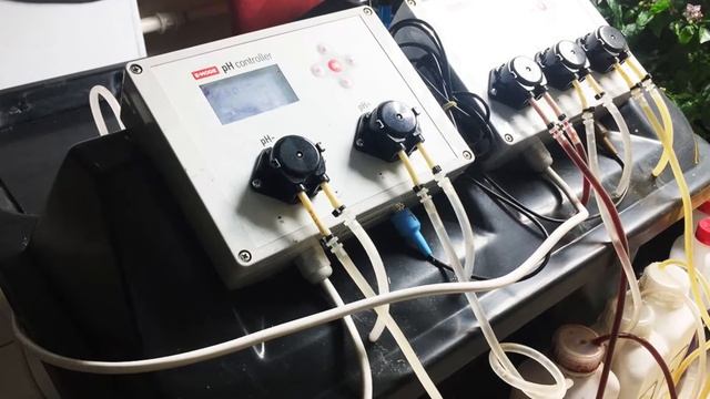 16. Растворный бак E MODE + RDWC 4 Pro система - Перцы на ВОДЕ!!!