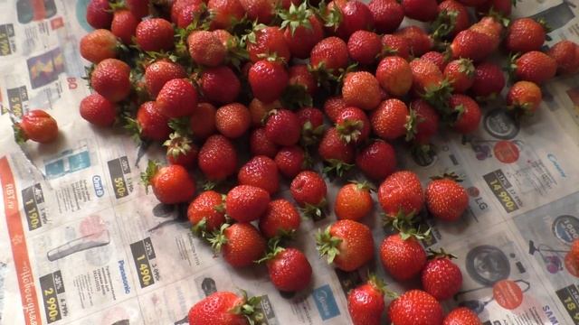 Сбор клубники 26л