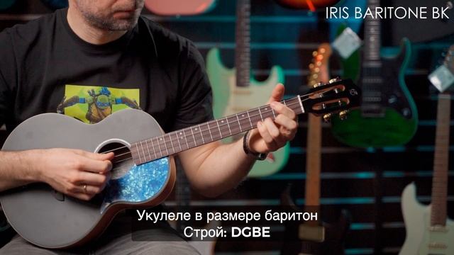 Укулеле Flight IRIS Baritone BK