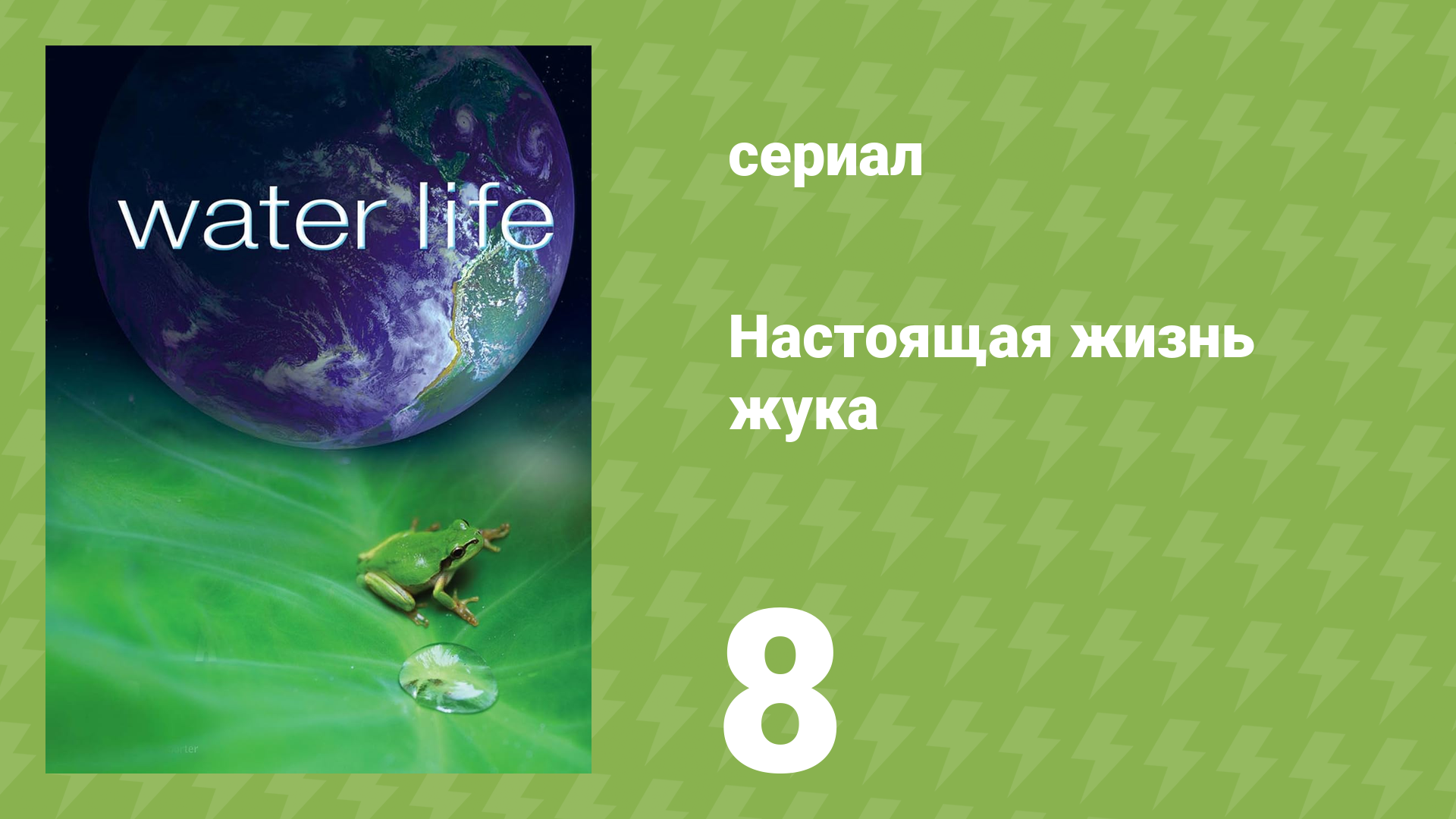 Водная жизнь 8 серия «Полезная вода» (документальный сериал, 2009)