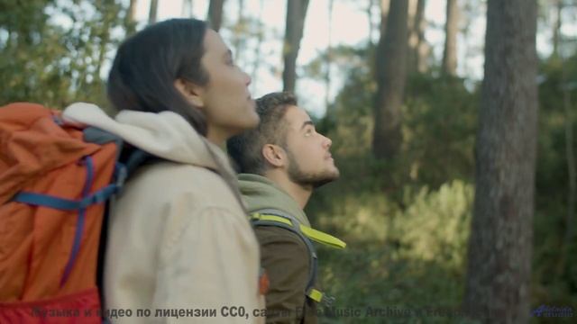 Эта композиция взломала хит-парады - алгоритмы против человечества! - Lasting Memories -- Scott Holm