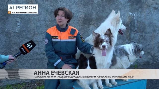 В ПРЕДДВЕРИИ ПРАЗДНИКА КАМЧАТСКИЕ КИНОЛОГИ РАССКАЗАЛИ О СВОЕЙ РАБОТЕ• НОВОСТИ КАМЧАТКИ