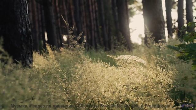 Невозможно не заслушаться под такую завораживающую картинку - Alive In It -- Ketsa -- Equinox Rising