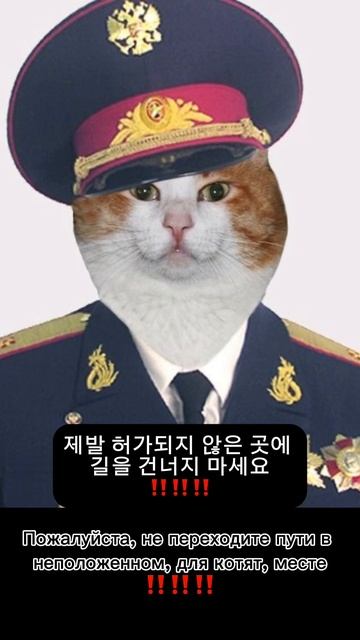 (으)면 (안) 되다
"서울대 한국어" 2A 6과 비행기로 보내면 얼마예요?  V-(으)면 되다, 2B 14과 여기서 사진을 찍어도 돼요?