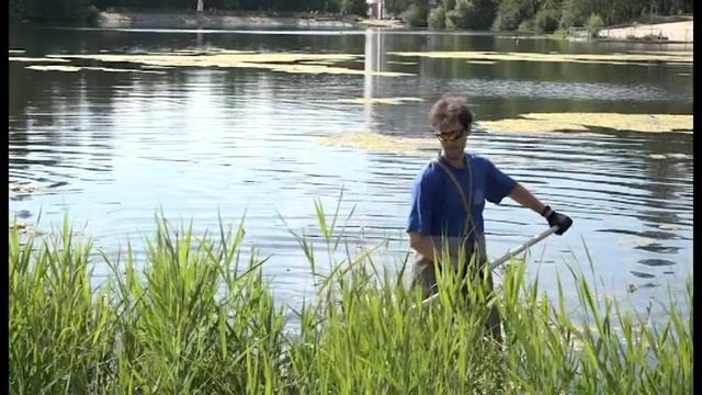 Зареченцы продолжают очищать Лесной пруд от водорослей