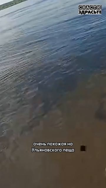 Смотрите в новом выпуске #снастиздрасьте