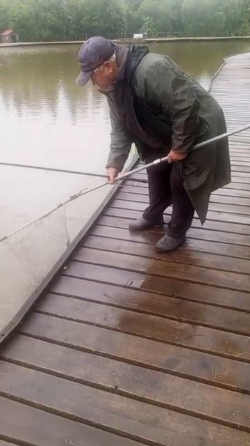 КРХ ТРИФОН