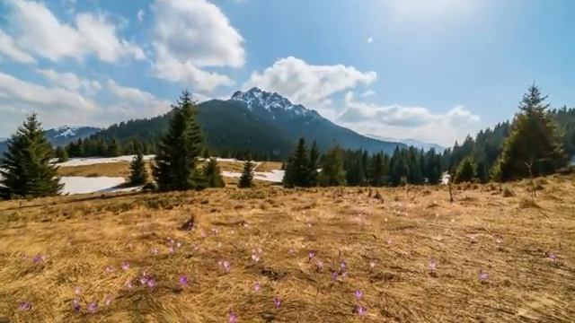 Танец света и звука. Музыка ветра и крыльев. Часть 15