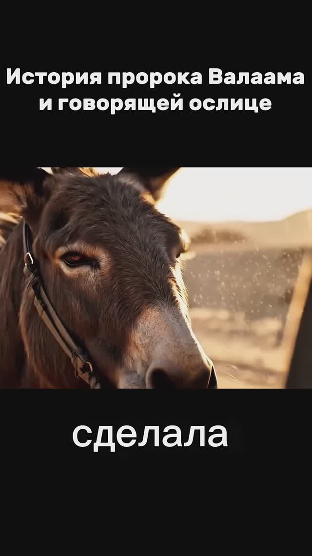 Валаам и говорящая ослица