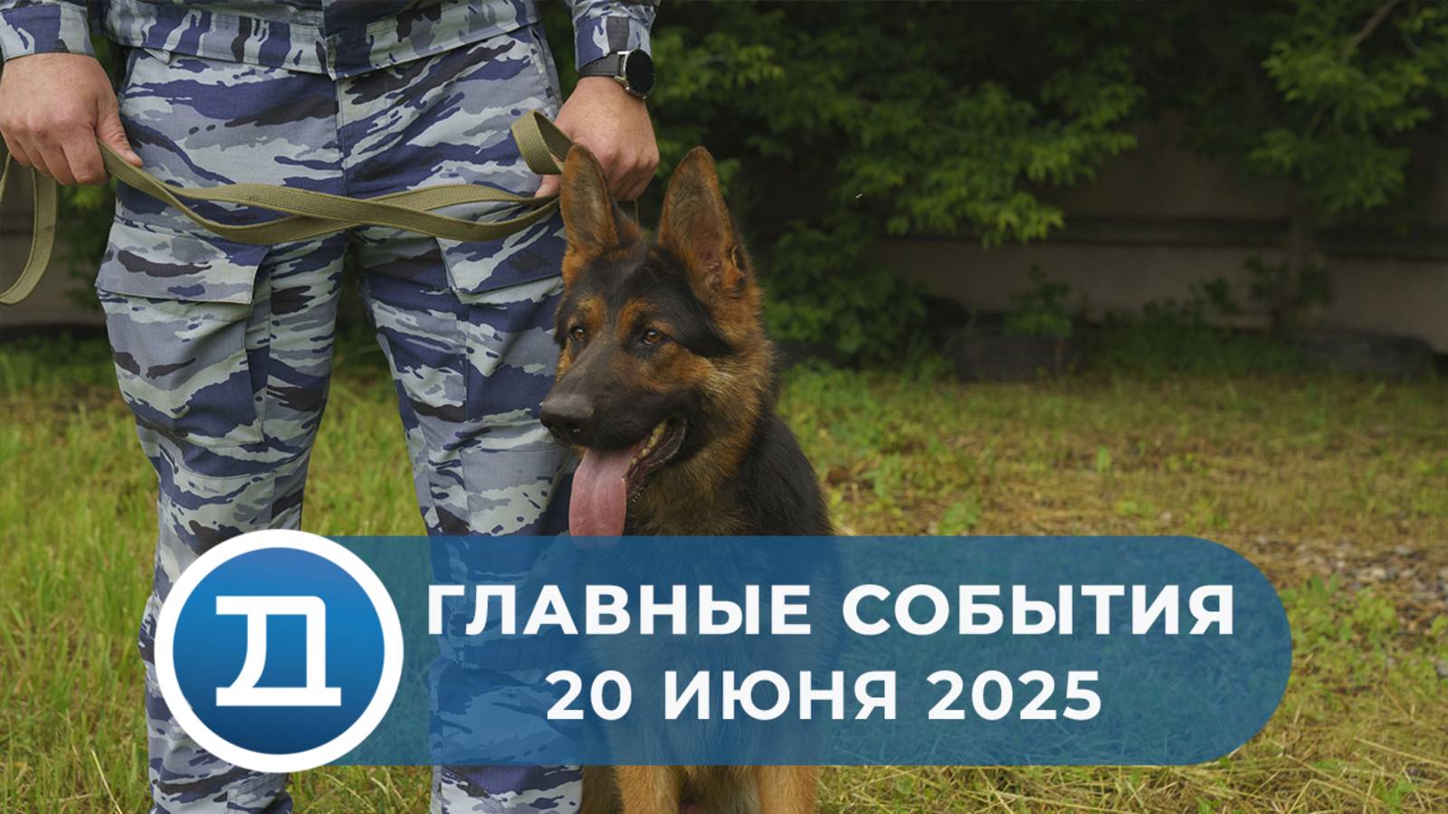 20.06.2025 Домодедово. Главные события.