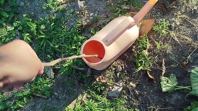 Заболели огурчики(