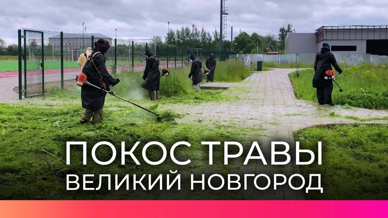 В Великом Новгороде усиливают контроль за покосом травы на городских территориях