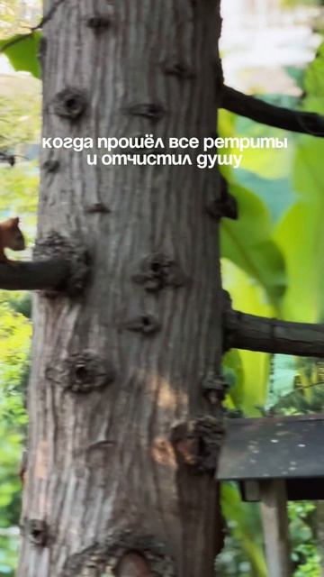 Жизненно ?