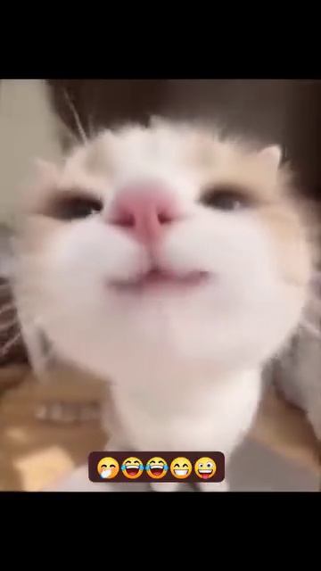 1000079128.mp4