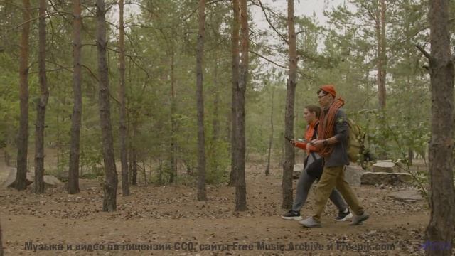Пейзажи зажигаются в такт каждой новой мелодии - Лена Батаева -- POVALISHIN DIVISION -- Запрещать За