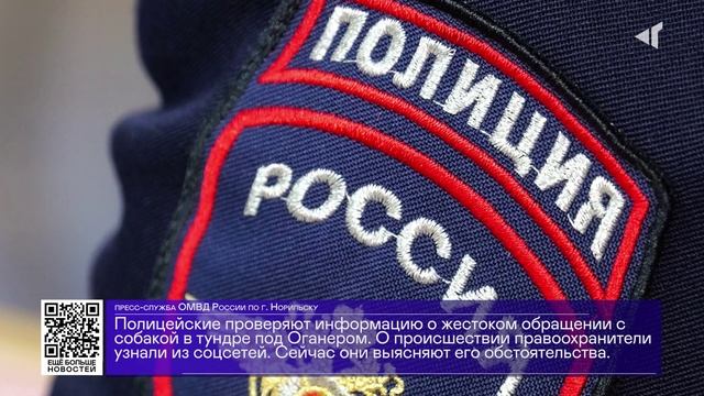 ДАЙДЖЕСТ «СЕВЕРНОГО ГОРОДА»,20.06.2025