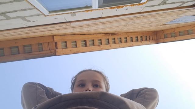 совушка