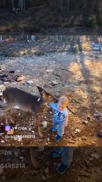 VID_20250620_042042_330.mp4