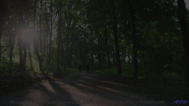 Этот трек заставит вас влюбиться в мир снова! - shes wrong -- Vincent Augustus -- Bad People Make Go