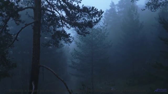 Природные кадры, которые невозможно забыть - смотрите до конца! - Life and Times -- Derek Clegg -- G