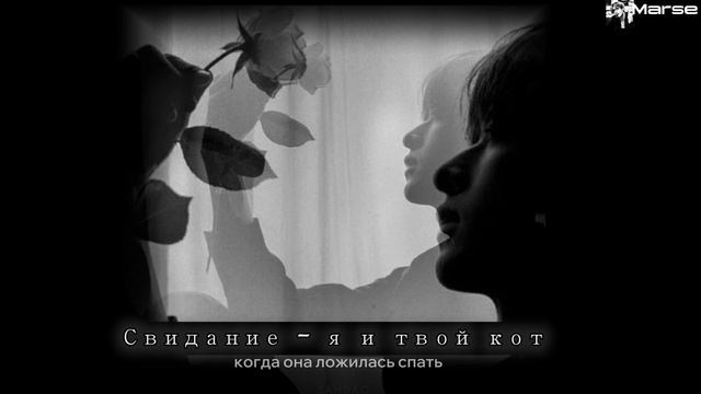 я и твой кот - свидание