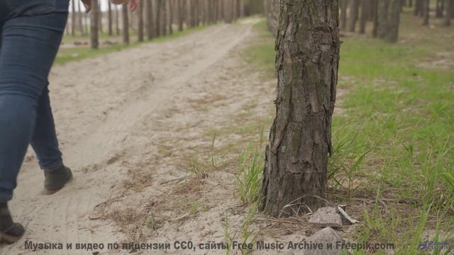Музыка рождает желание исчезнуть среди природы - Celebracio (XLIII) -- opo -- Estudios Indigeniforme