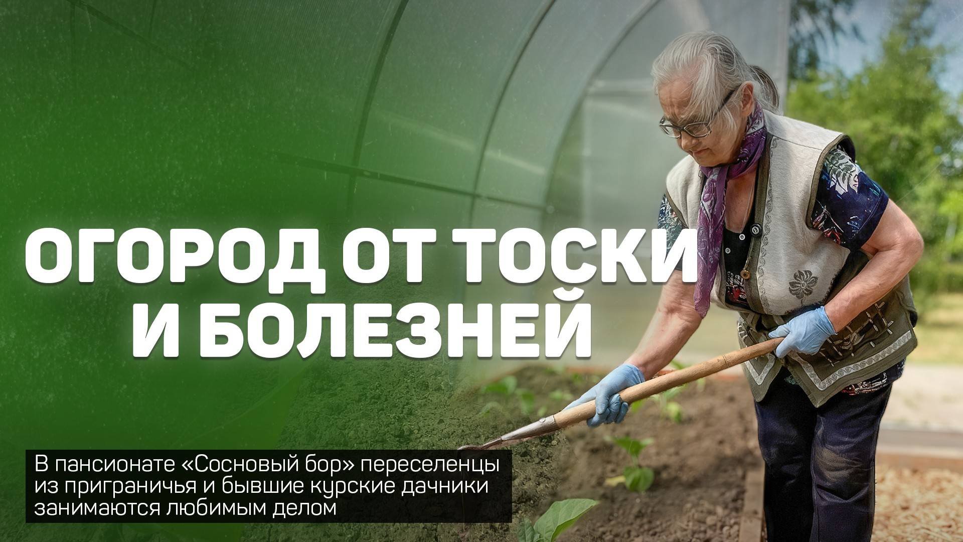 "Поработаю в огороде и не так скучаю по дому в Судже": для переселенцев в пансионате сделали теплицы