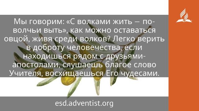 20 июня 2025. Не мир, а меч. Под сенью благодати | Адвентисты