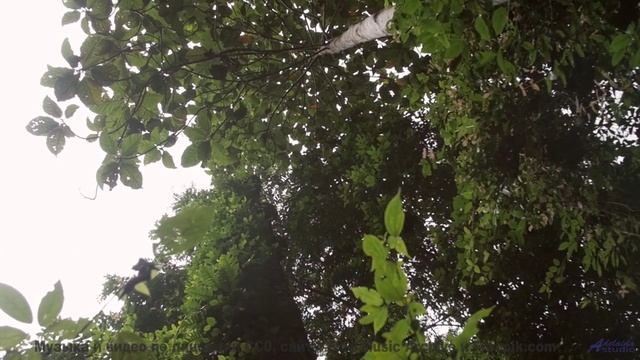 Это видео создано для жителей 3023 года - но доступно вам сейчас! - Dance With Myself -- Lance Roman