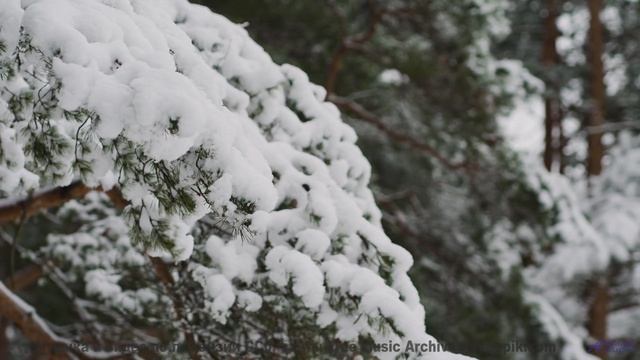 Трек переносит туда, куда самолёты не долетают - Falling into the game -- Soft and Furious -- You kn