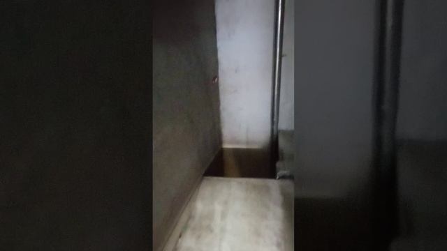 1000010120.mp4