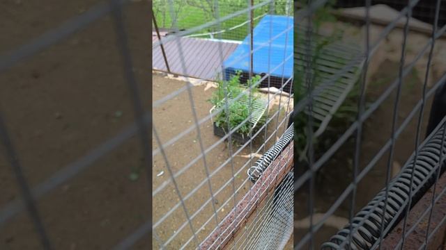1000125107.mp4